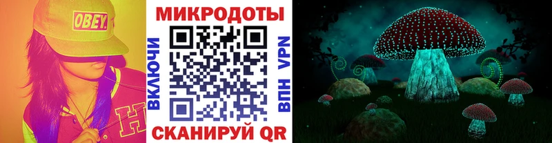 магазин продажи   Павловск  Галлюциногенные грибы MAGIC MUSHROOMS 