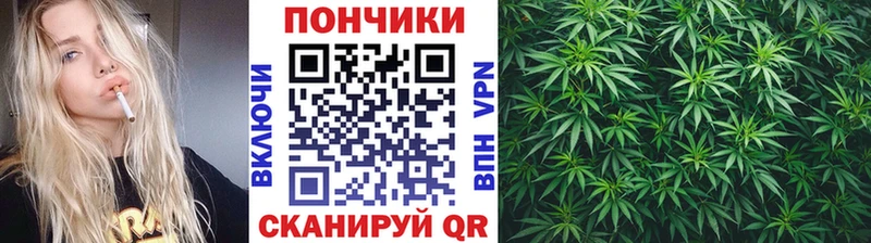 Бошки марихуана марихуана  наркошоп  Павловск 